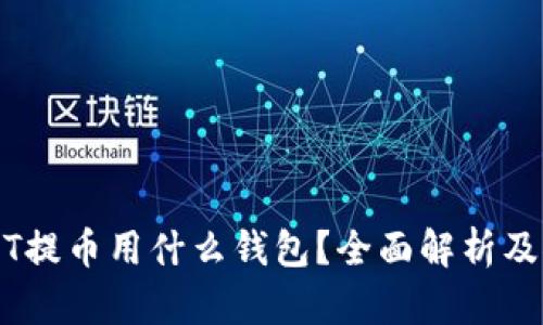 USDT提币用什么钱包？全面解析及推荐