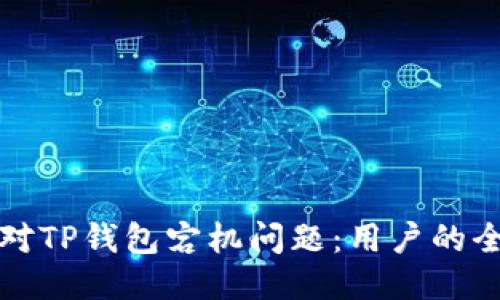 如何应对TP钱包宕机问题：用户的全面指南