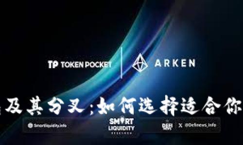 深入了解比特币钱包及其分叉：如何选择适合你的数字资产存储方案