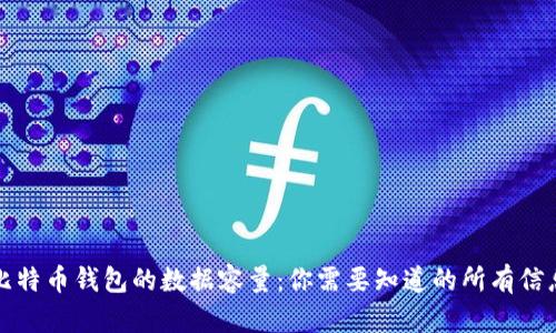 比特币钱包的数据容量：你需要知道的所有信息