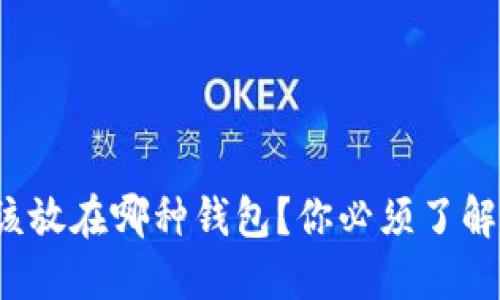 PAi虚拟币该放在哪种钱包？你必须了解的选择指南
