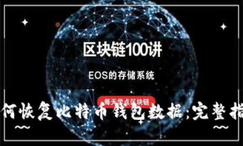 如何恢复比特币钱包数据：完整指南