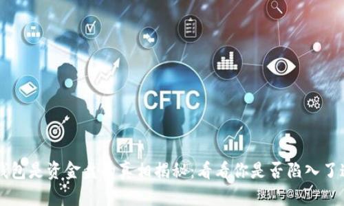 虚拟币钱包是资金盘的真相揭秘：看看你是否陷入了这个骗局