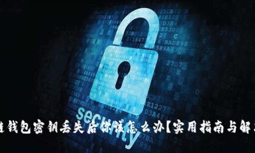 区块链钱包密钥丢失后你该怎么办？实用指南与解决方案