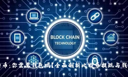 提现比特币：你需要钱包吗？全面剖析比特币提现与钱包的关系