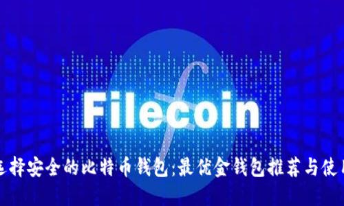 如何选择安全的比特币钱包：最优金钱包推荐与使用指南