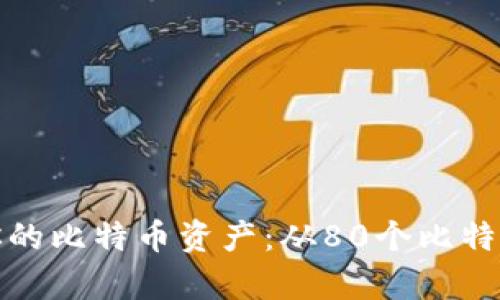 如何管理和增值你的比特币资产：从80个比特币开始的财富之路