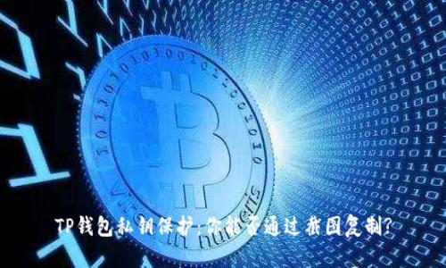 TP钱包私钥保护：你能否通过截图复制?