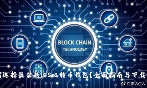如何选择最佳的iOS比特币钱包？全面指南与下载推荐