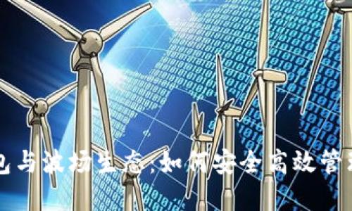 深入了解TP钱包与波场生态：如何安全高效管理你的数字资产