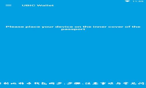 全面解析比特币钱包同步：步骤、注意事项与常见问题解答