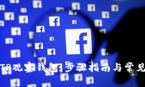 如何使用TP观察钱包：步骤指南与常见问题解答