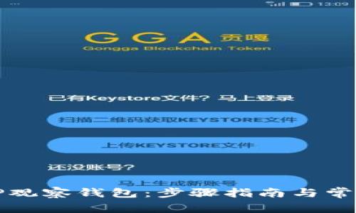 如何使用TP观察钱包：步骤指南与常见问题解答