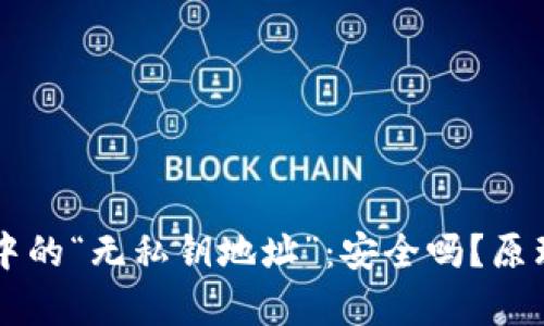 区块链钱包中的“无私钥地址”：安全吗？原理与应用解析
