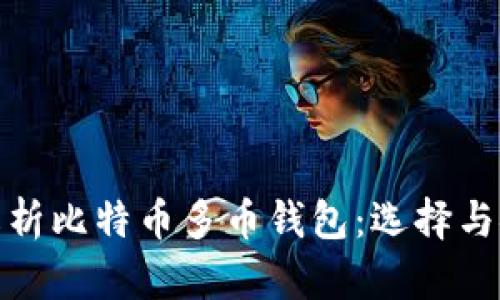 全面解析比特币多币钱包：选择与安全性