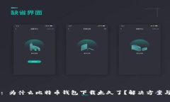 页面: 为什么比特币钱包下载太久了？
